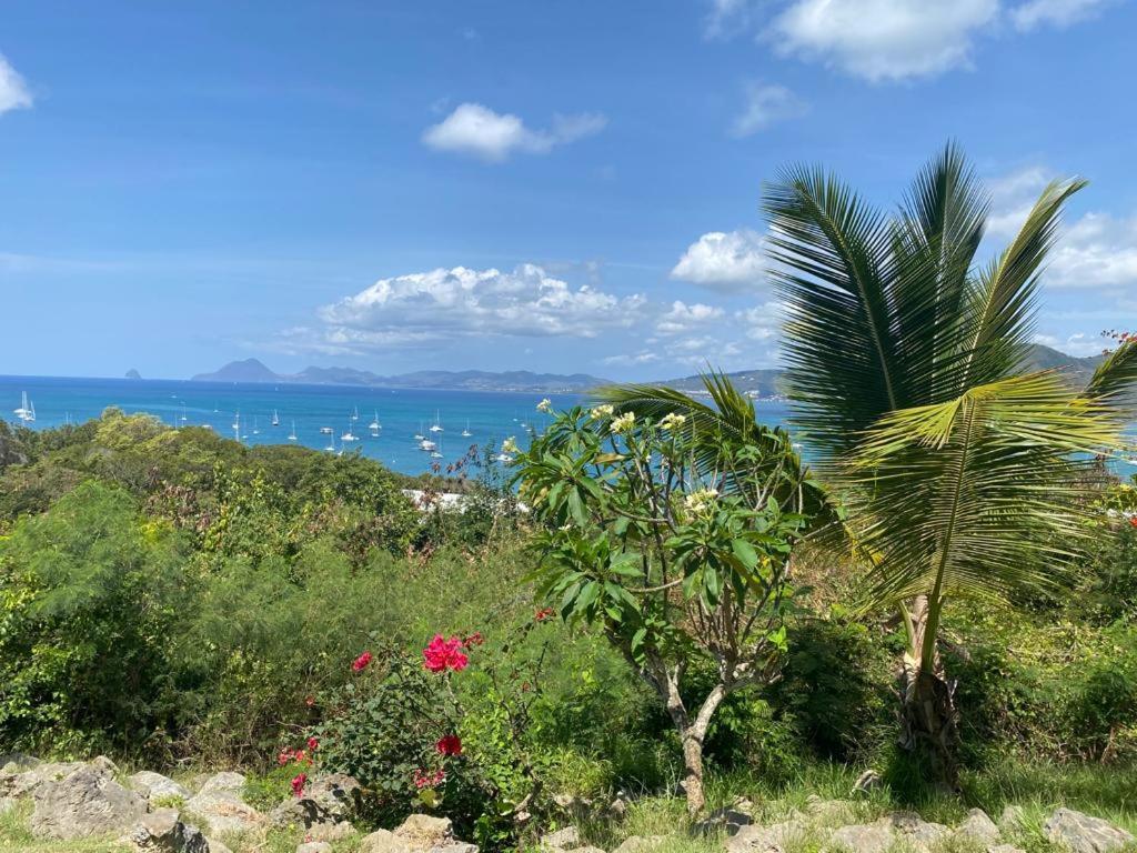 Superbe Appartement Vue Sur Mer サンタンヌ エクステリア 写真